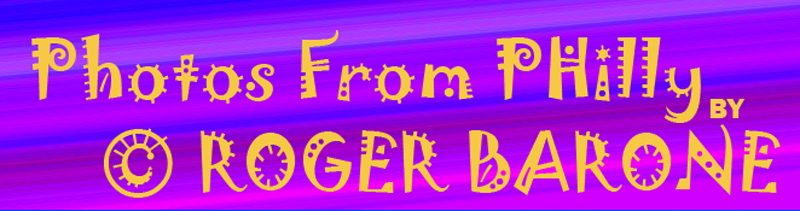 purple humor banner